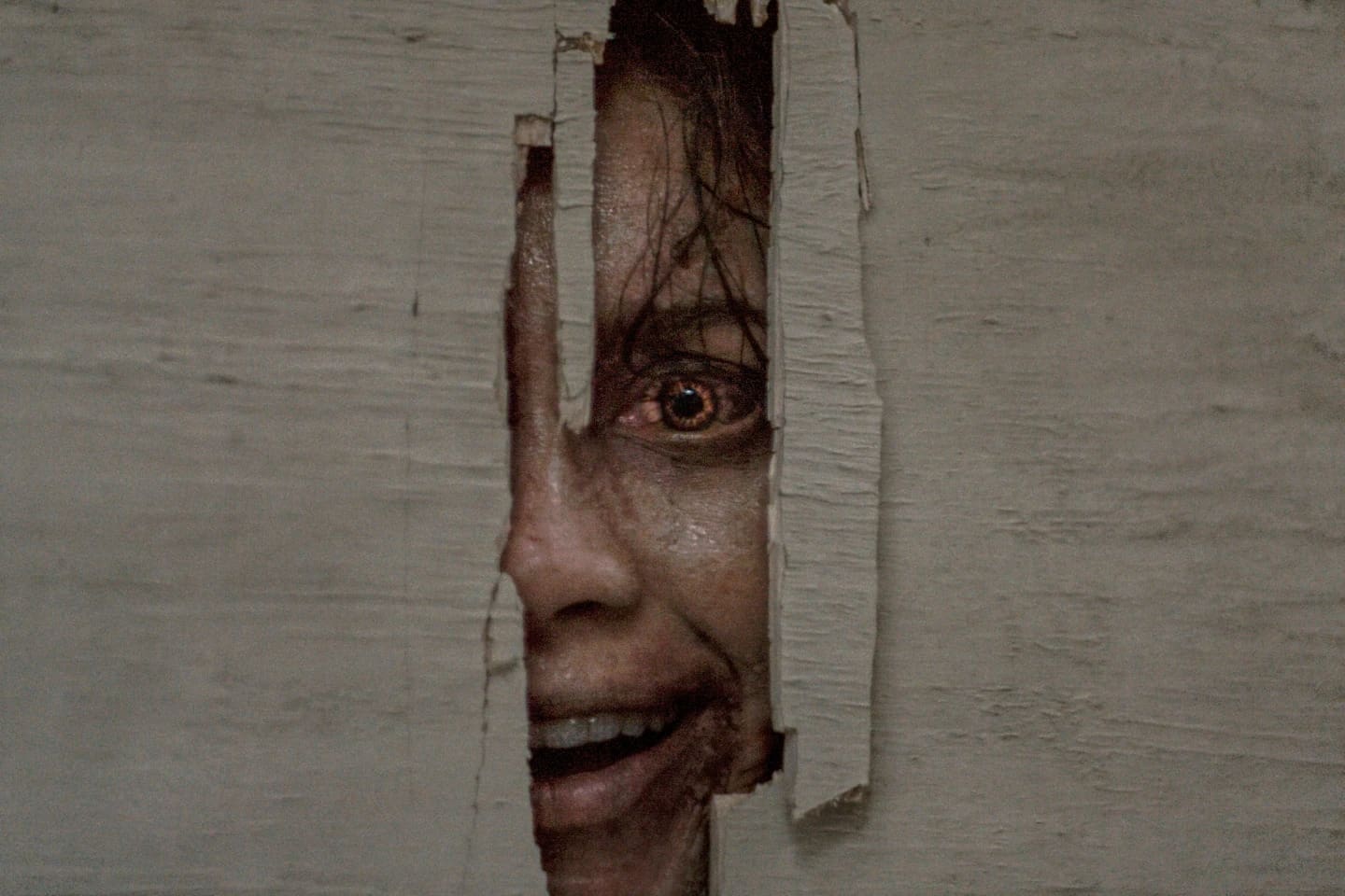 Luciane Buchanan in EVIL DEAD BURN.
